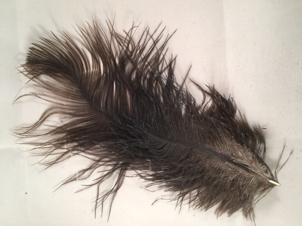 EROTIC BLACK BOX WITH G-STRING,EYE MASK,VELVET CUFFS AND 2 OSTRICH FEATHERS